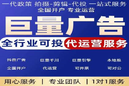 网络营销新篇章：竞价推广案例分析